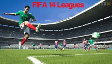 FIFA 14 Leagues