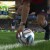 FUT World Cup Game
