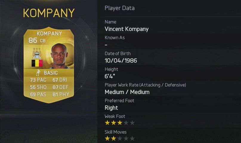 Vincent Kompany Stats