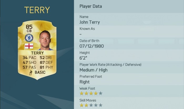 John Terry FUT 16