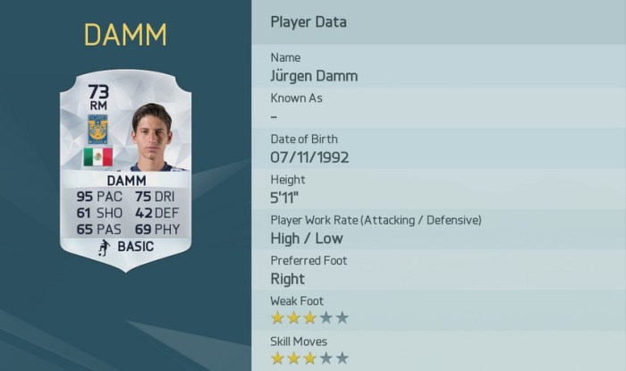JÜRGEN DAMM FIFA 16 Pace